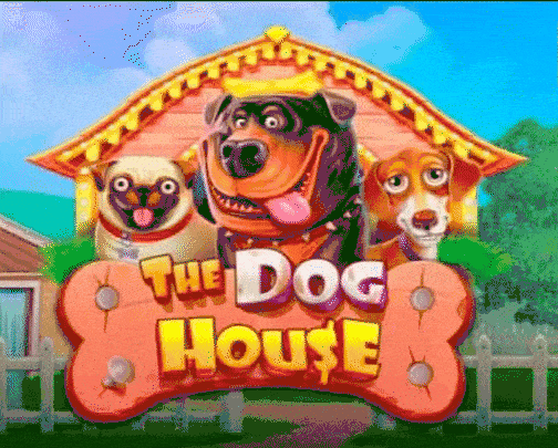 Play The Dog House in Crazy Tower Casino